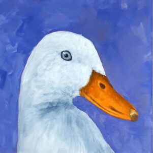 Duck - The Hour Birds