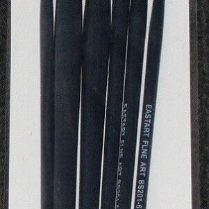 East Art Artist Brush Set 6 – Navy Hogs Hair Long Handled Brushes
